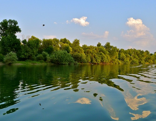 Река Морача впадает в Скадарское озеро. Фото: Яндекс.Фотки, pianotech-vs